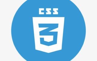 624-6241203_css-icon-png-cascading-style-sheets-320x202